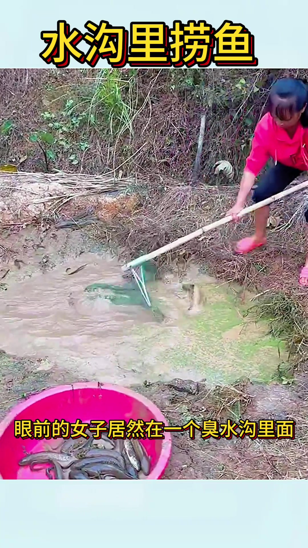 “聪明女子用自制网兜捞鱼,意外收获丰富美味!”