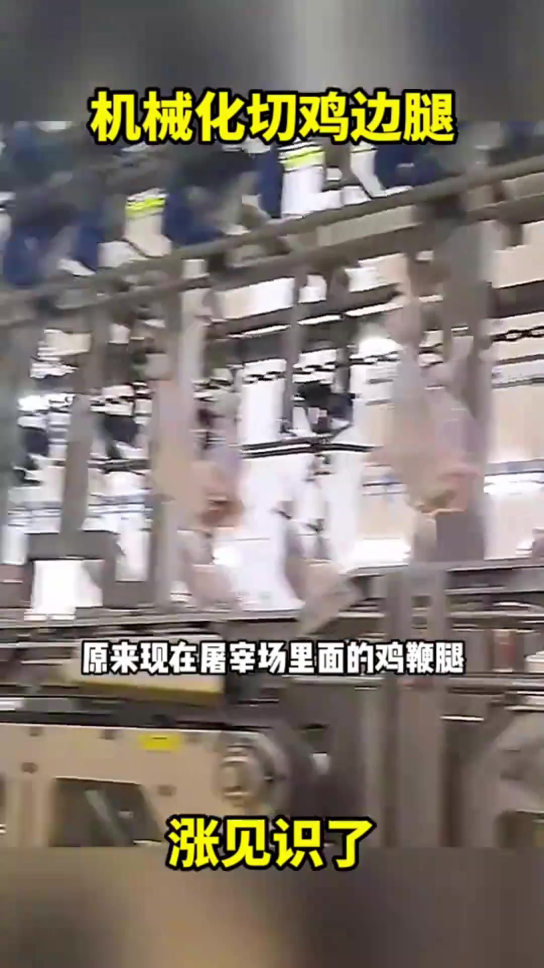机械化切鸡边腿,涨见识了
