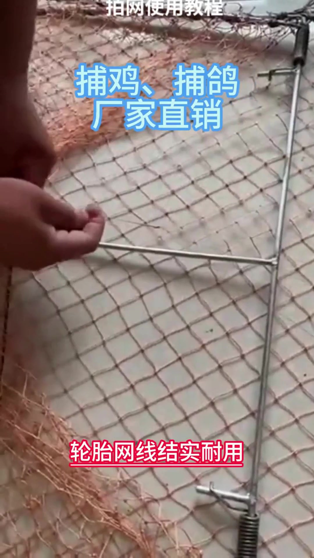 多次使用不变样!防变形捕鸡网抓仙居鸡