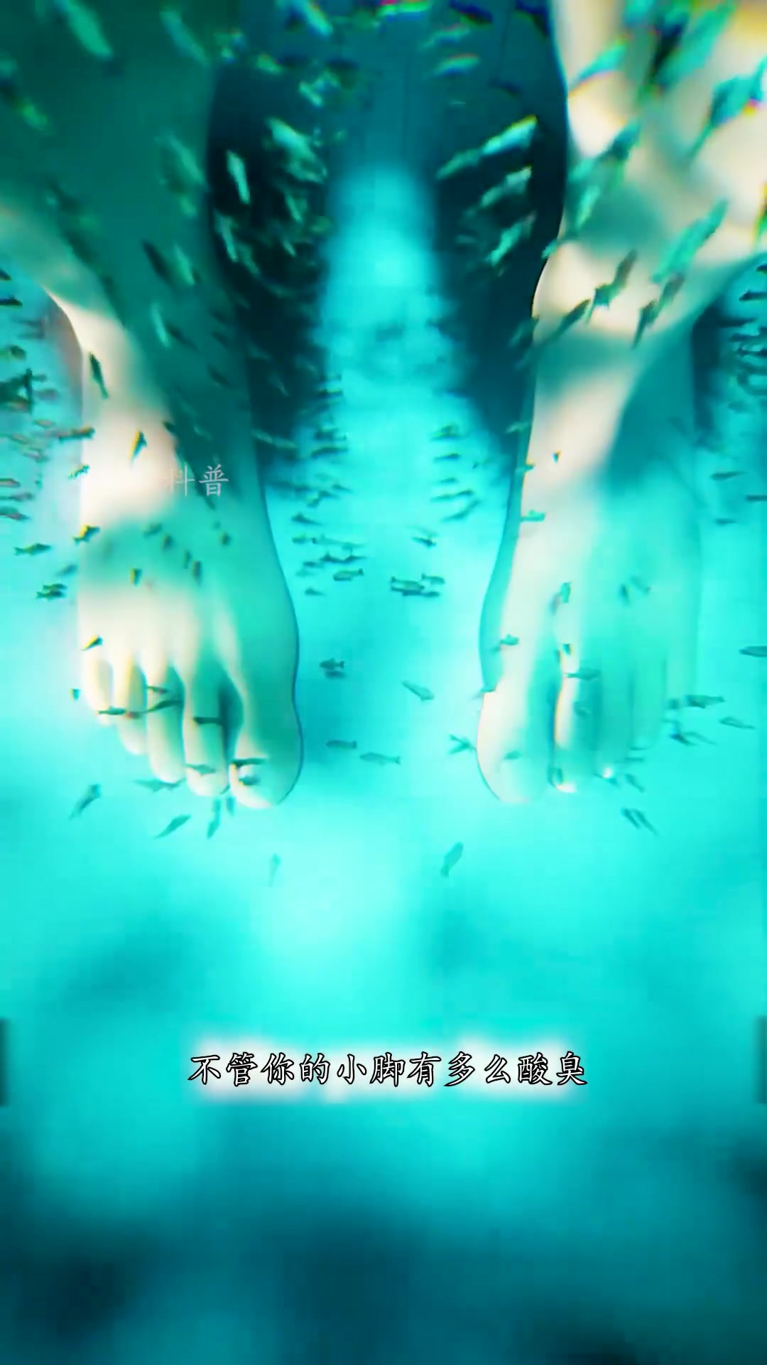 鱼疗有什么好处?