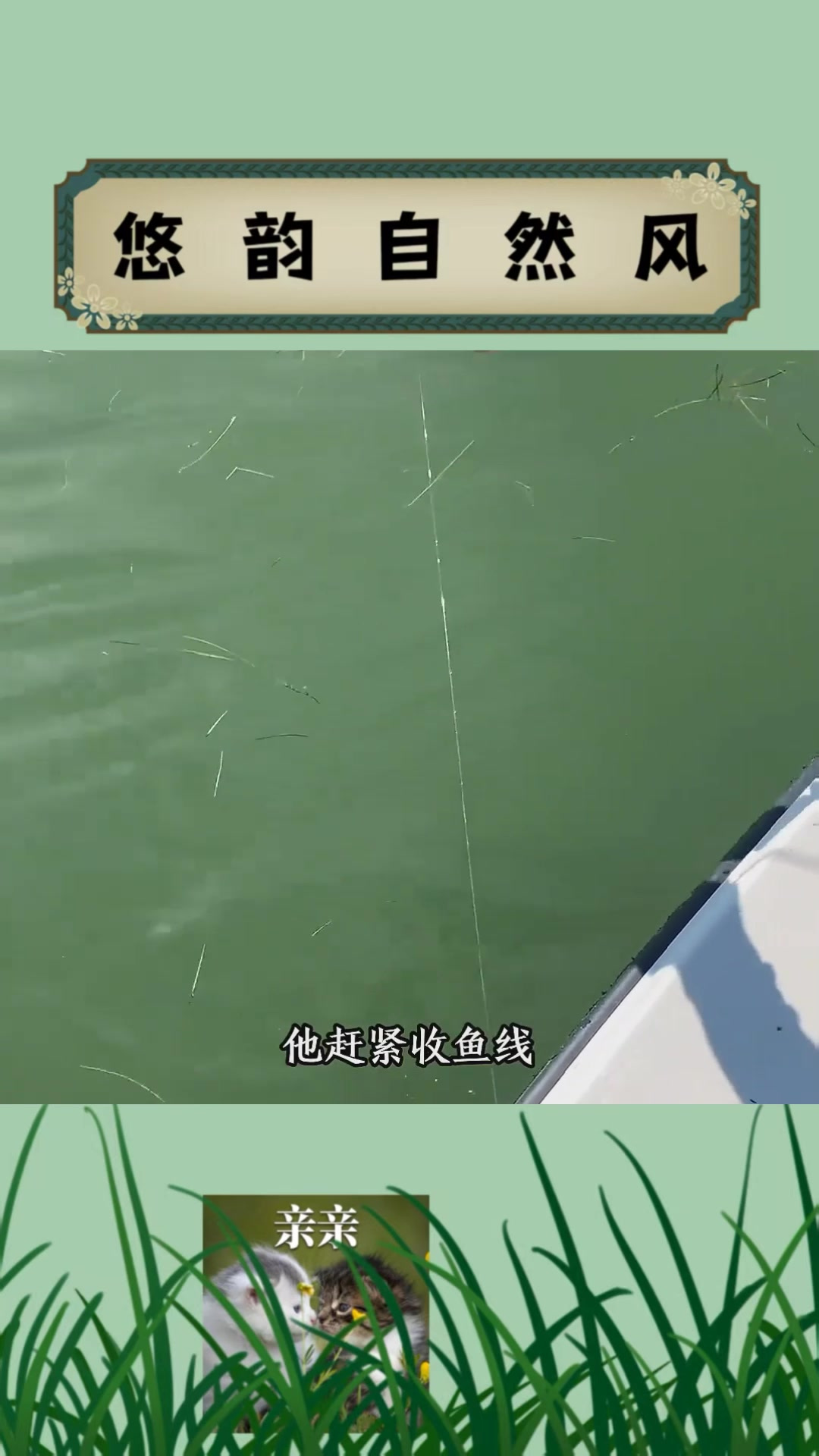 海钓鲨鱼 男子钓到一条鲨鱼,然而它的样子却触目惊心,这究竟是