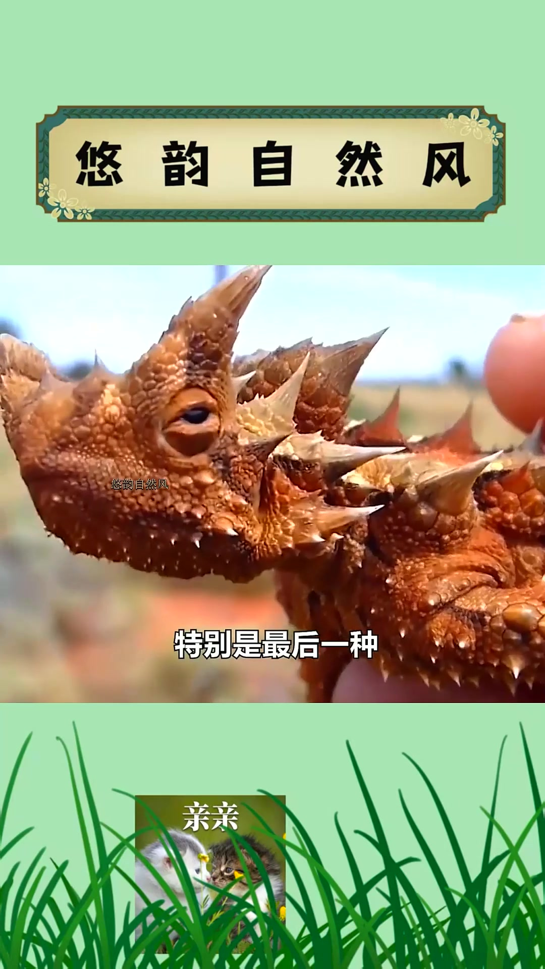 01真实存在的6大传说生物,最后一个不可思议