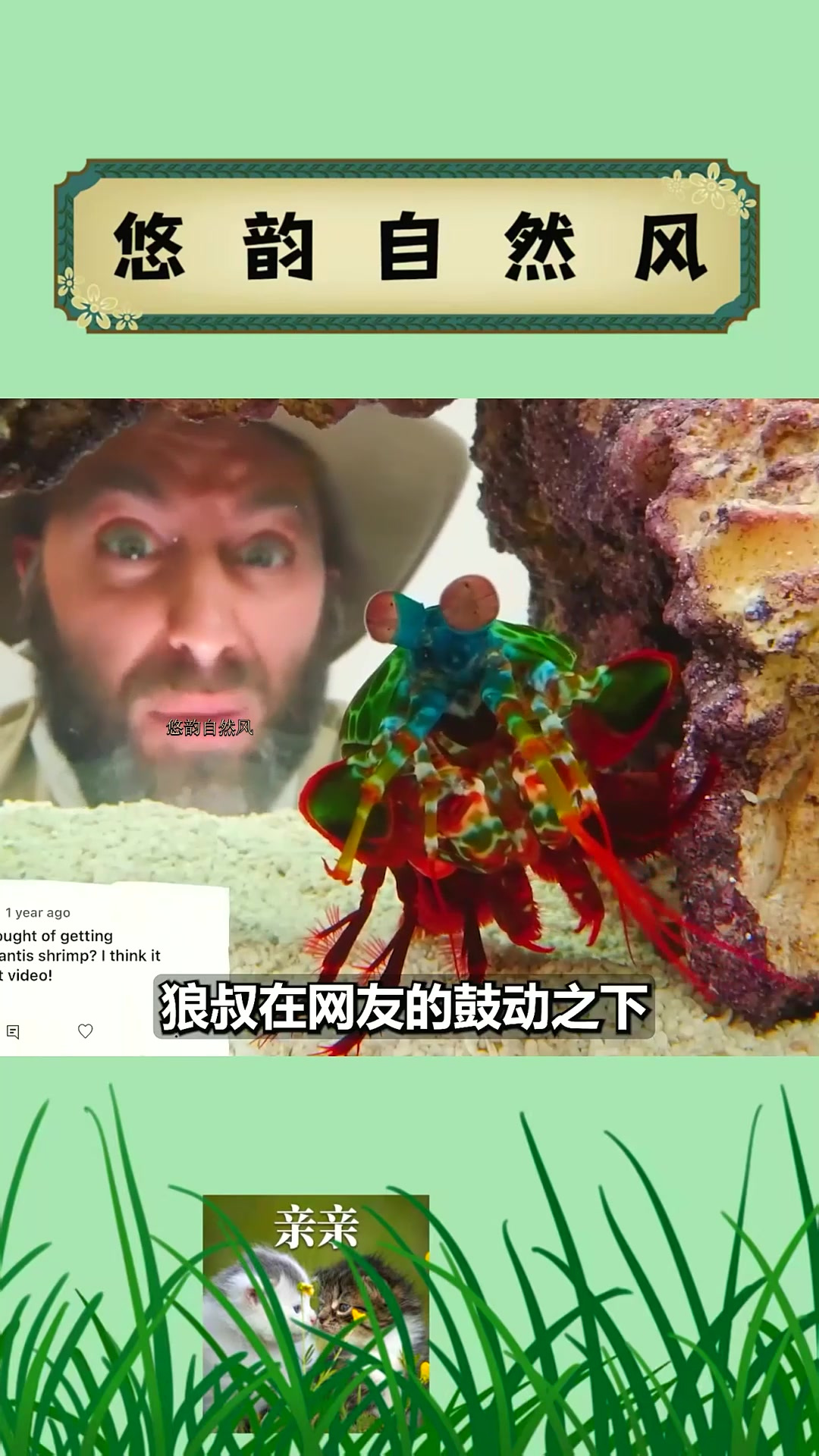 01螳螂虾和枪虾干一架,谁会赢?手指被螳螂虾打一拳会怎样?