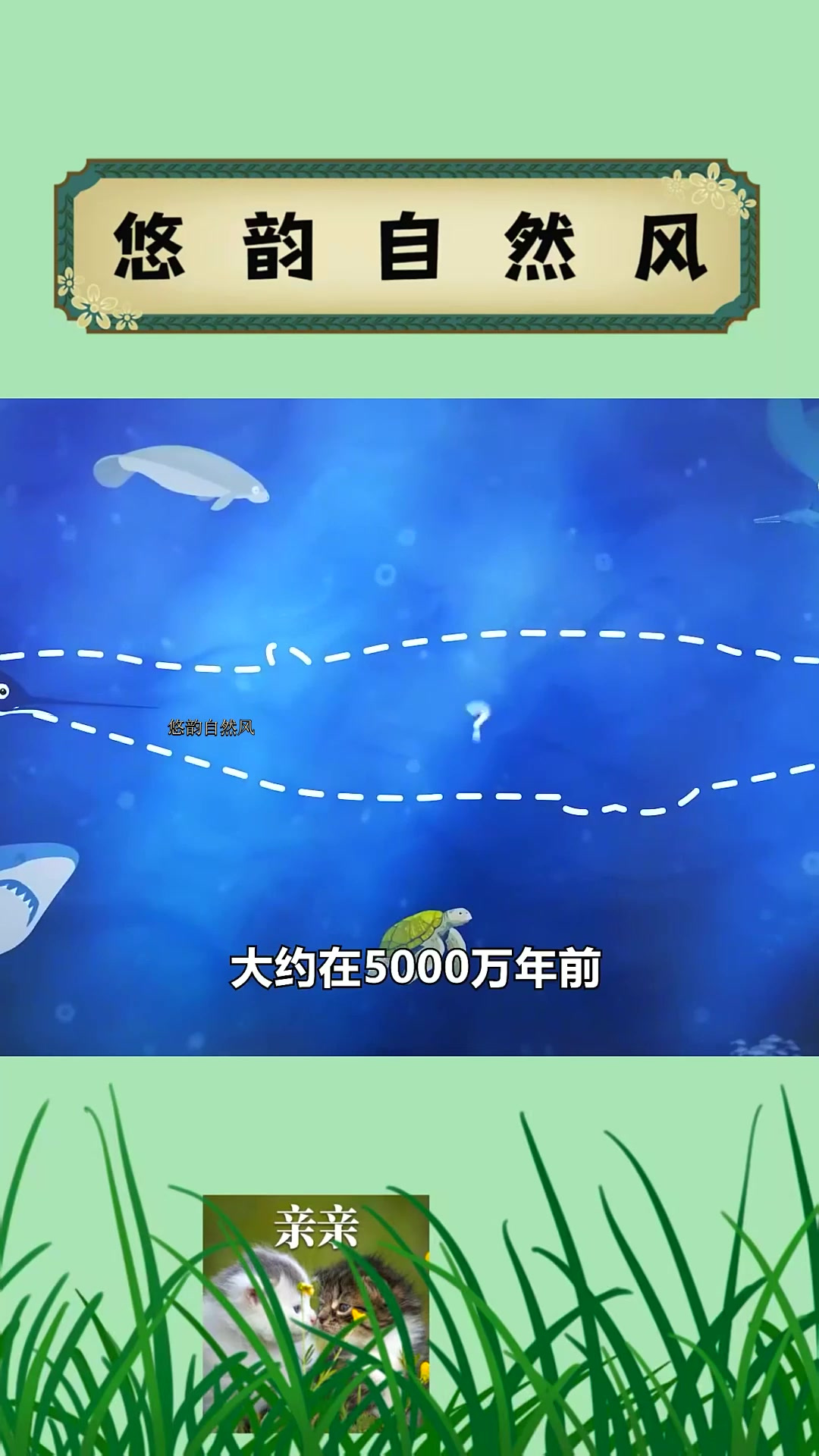 01这鱼花3亿年从海洋来到陆地,却被中国吃货盯上,鲸鱼都笑了