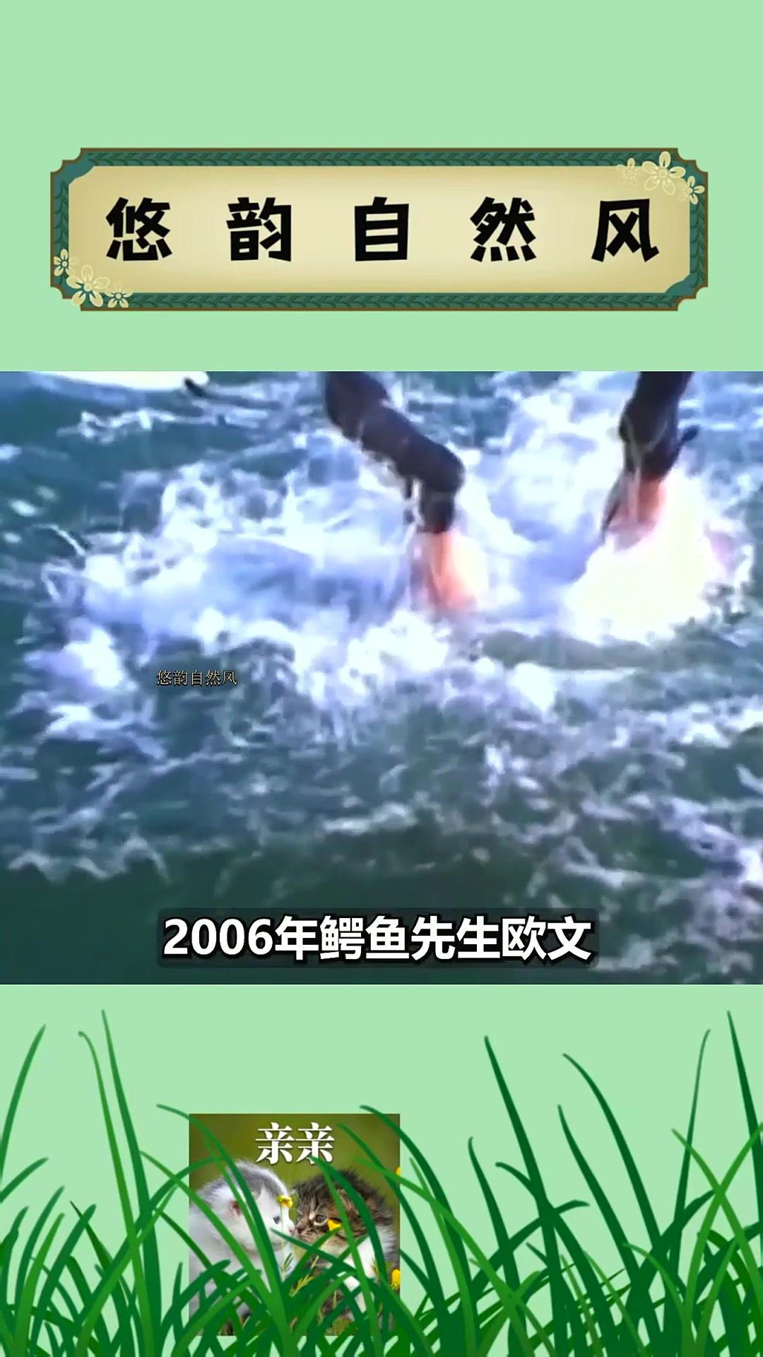 02伏击数十万螃蟹大军,轻松杀死一个成年人,黄貂鱼真那么恐怖