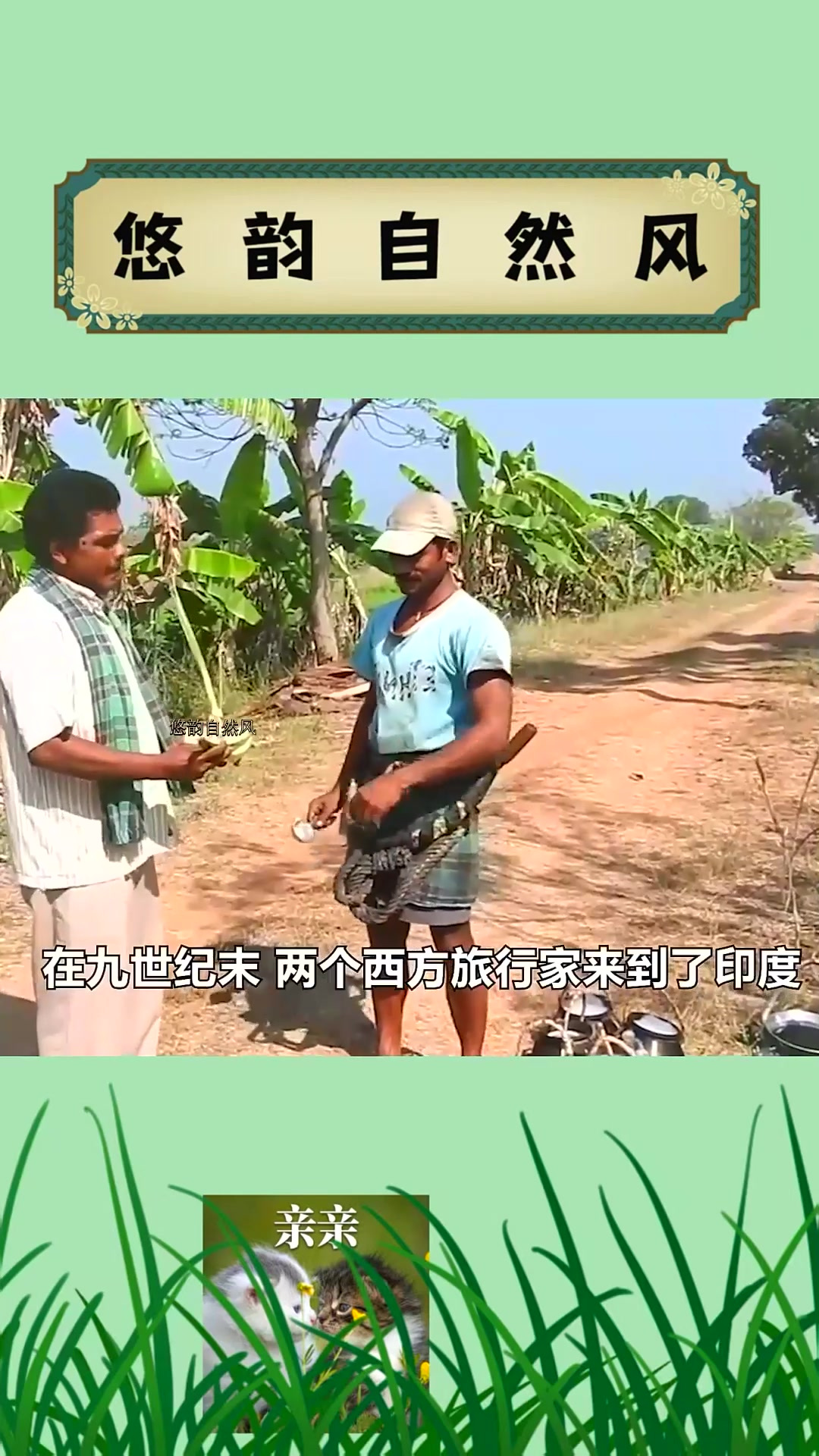 02离开水也能活的鱼,生活在土里,去树上度假,最后竟然被水淹死