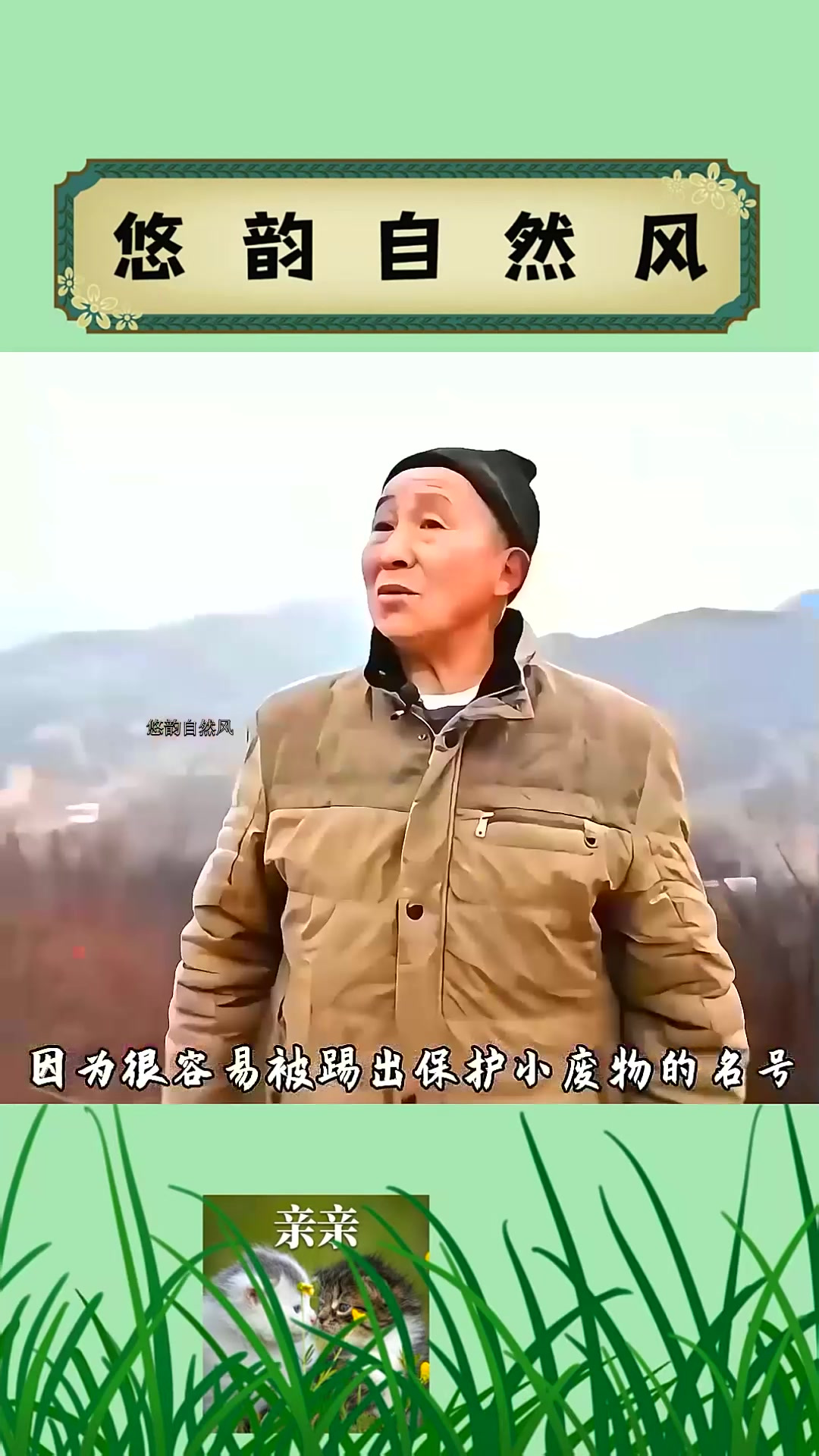 什么?我养的凤凰变成鸡了?