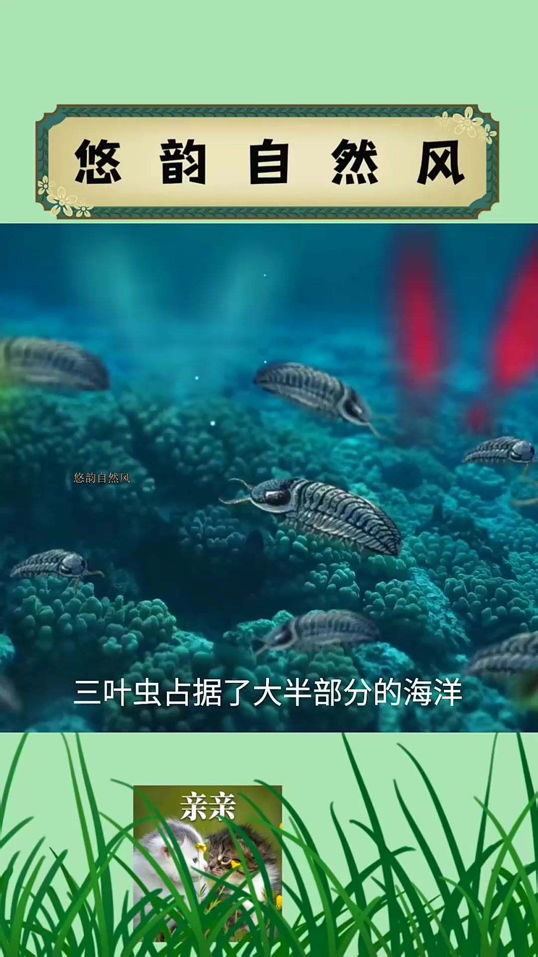 寒武纪三叶虫时代