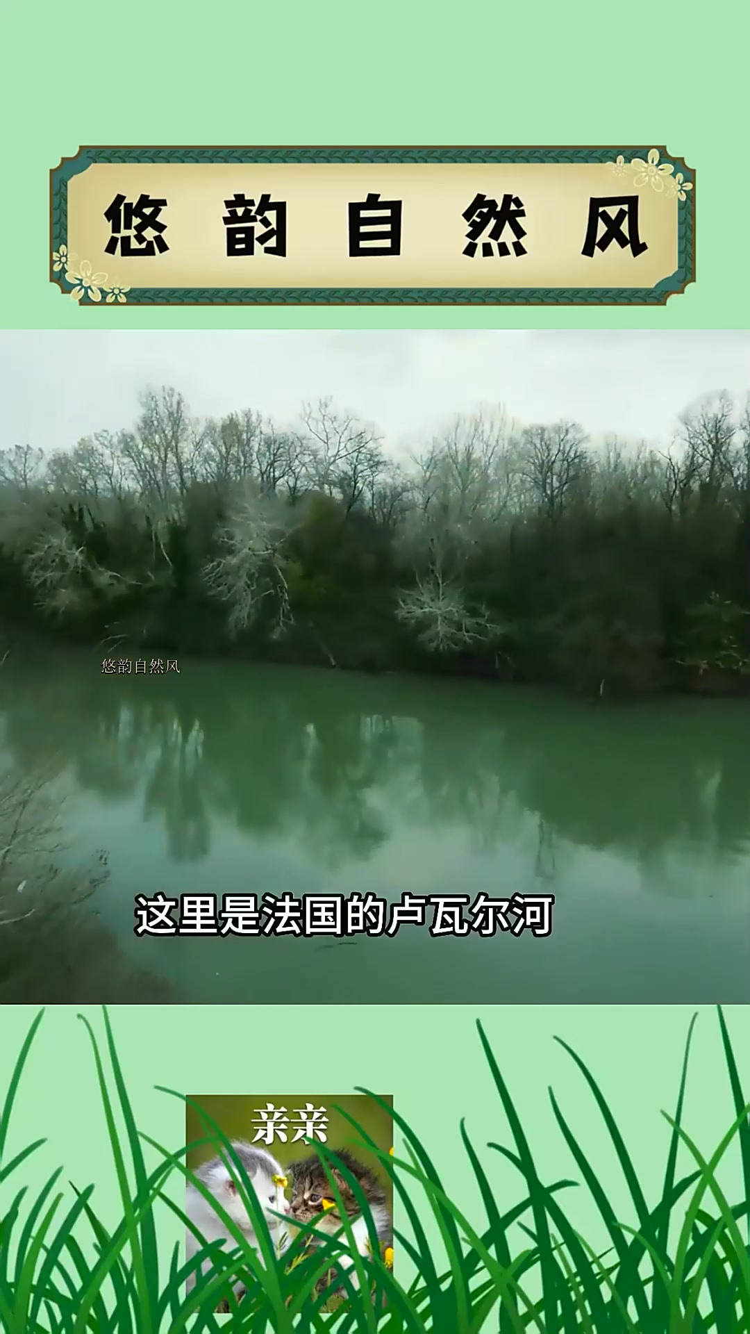 老外钓起了超级大的鲶鱼