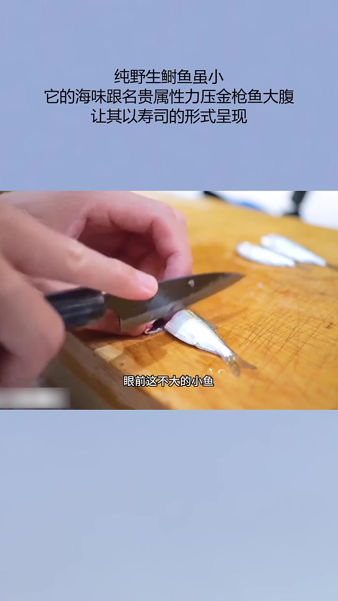 纯野生鲥鱼虽小,它的海味跟名贵属性力压金枪鱼大腹,让其以寿司