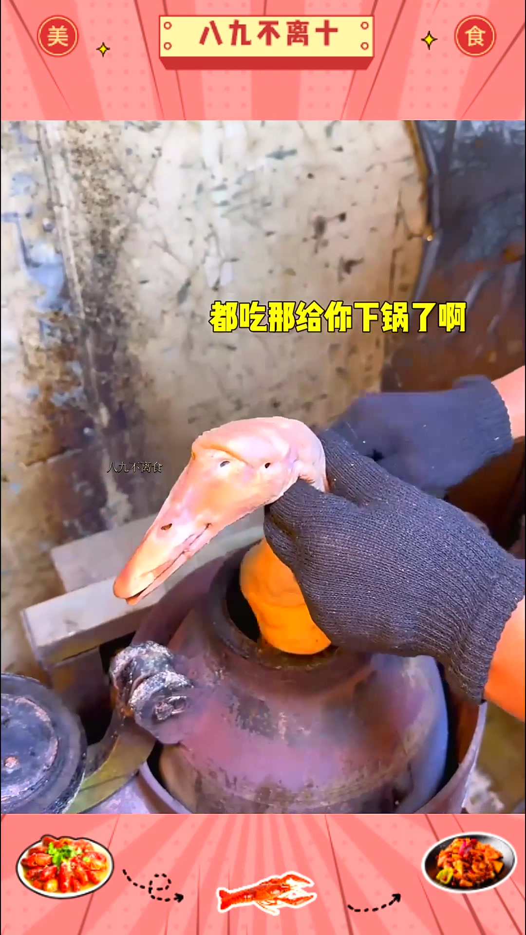 东北路边的崩鸭子八十块钱真的震惊到我