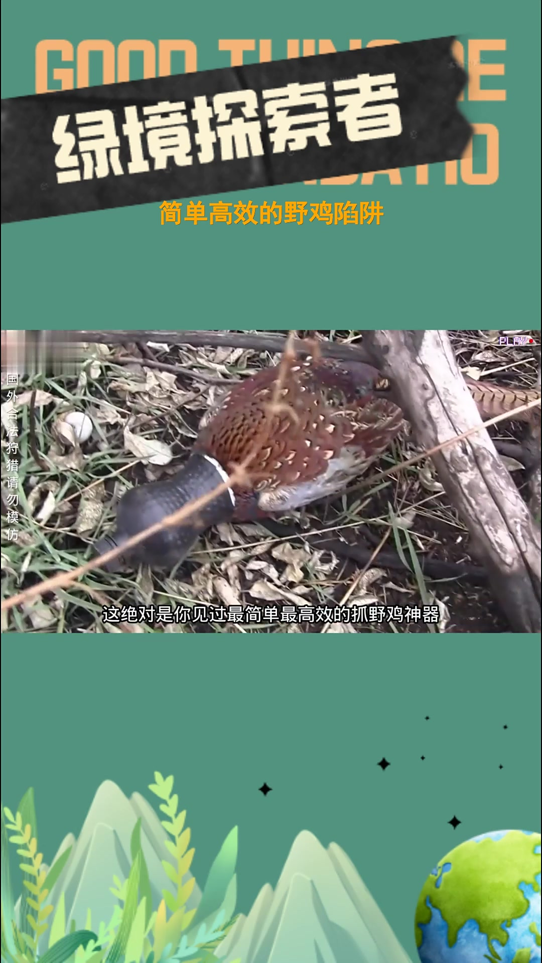 简单高效的野鸡陷阱