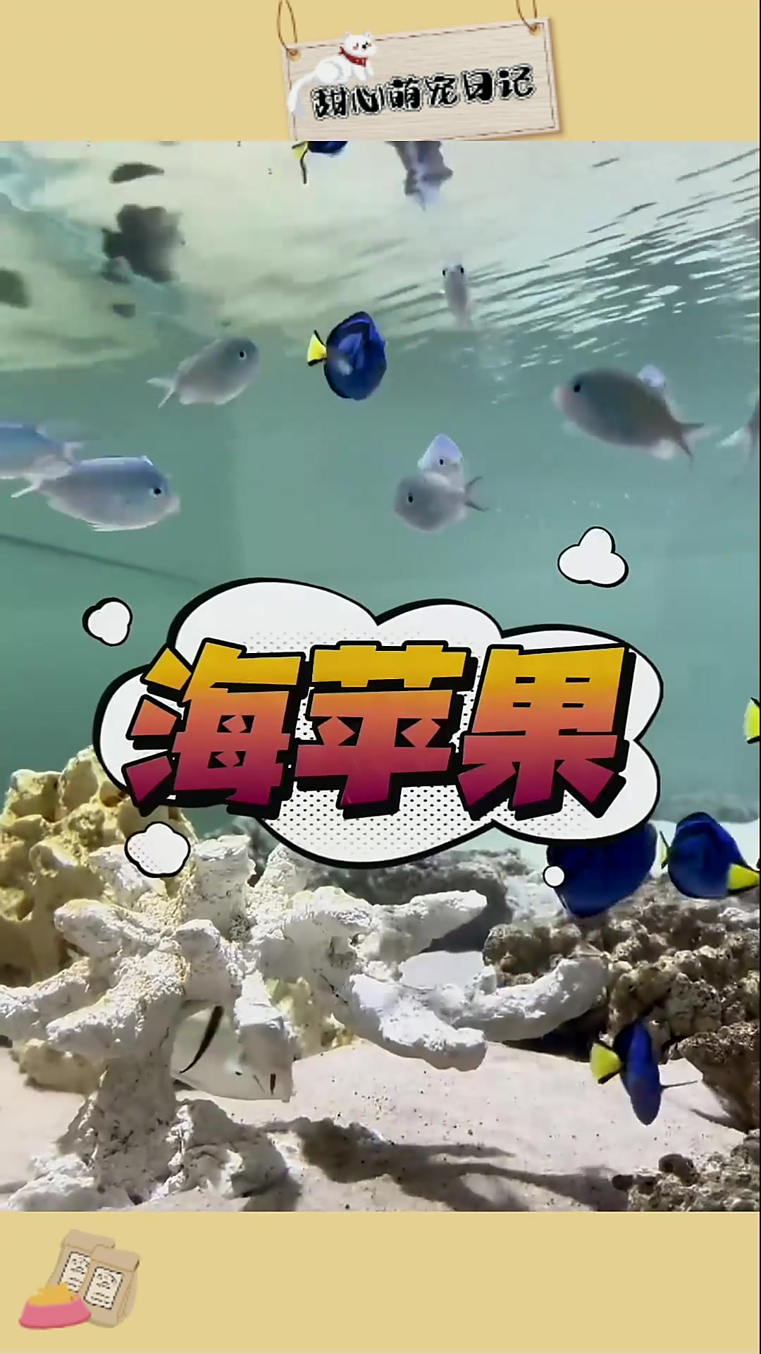 海中炸弹,震撼来袭