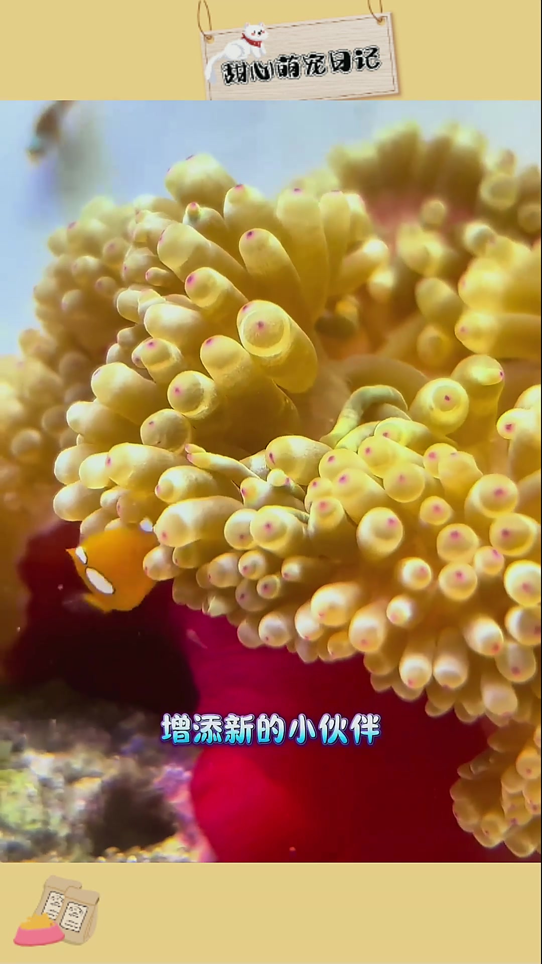 派大星欢乐登场,萌翻众人!