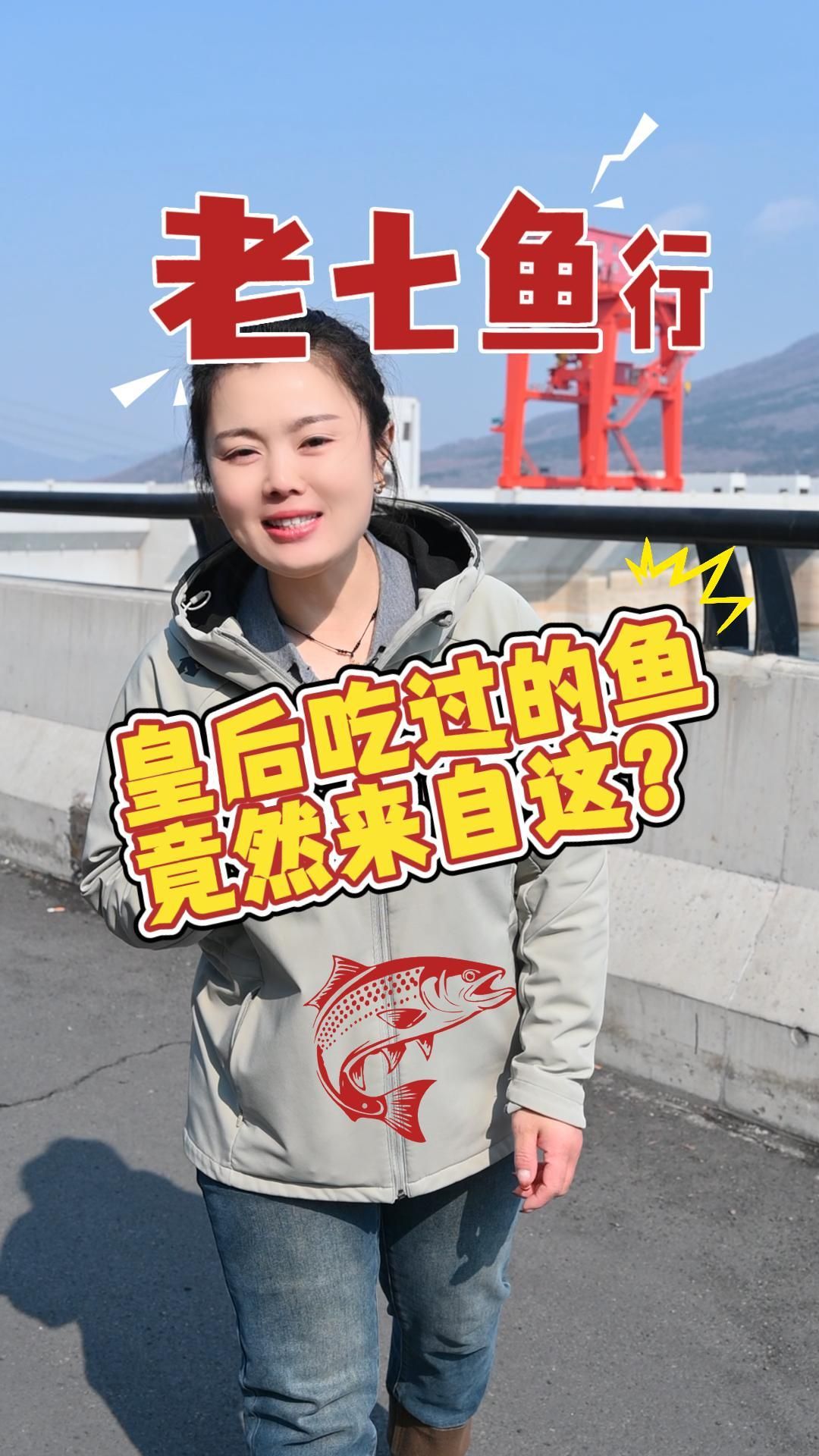 丰满黑鱼真空包装 东北黑鱼怎么样 全国黑鱼味道好 松花湖黑鱼怎么选