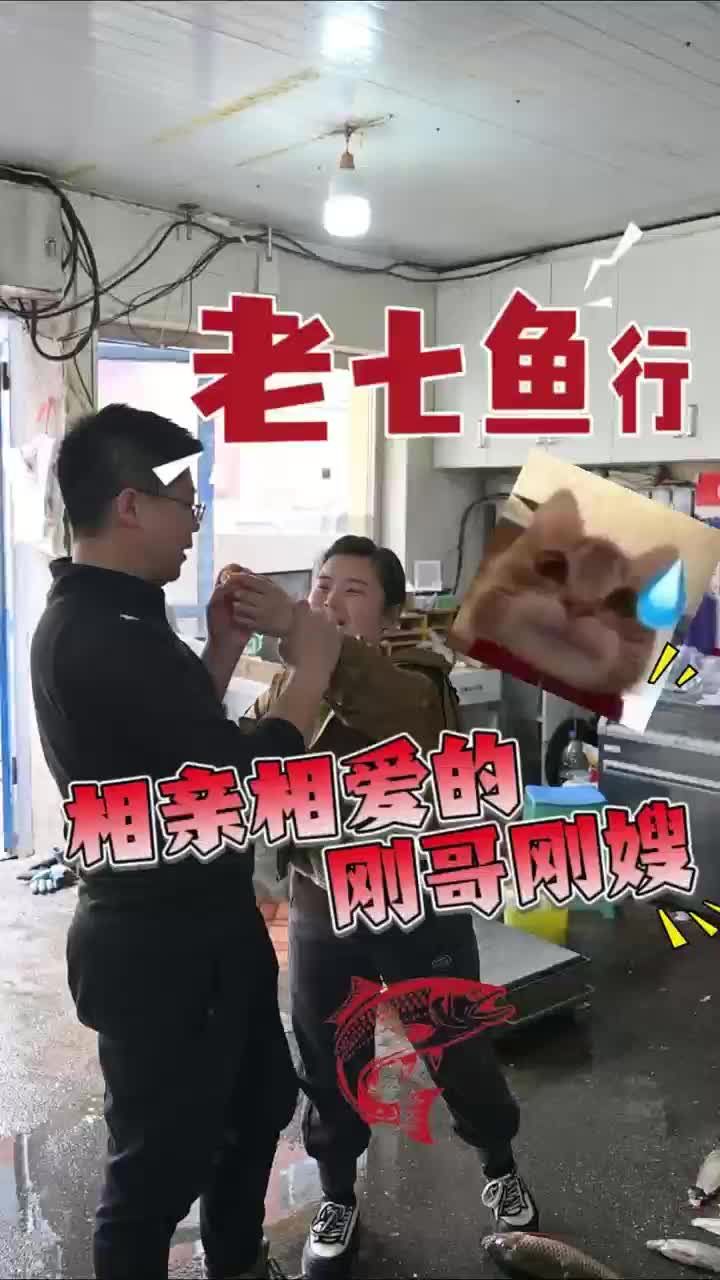 丰满鱼行真空包装 松花湖鱼行怎么选 东北鱼行好吃吗 吉林市鱼行精品礼盒