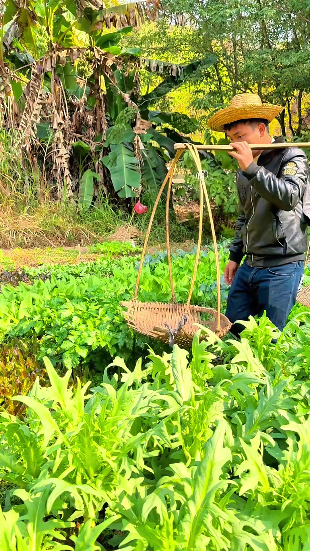 今天三宝汤，牛鞭公鸡蛋猪尾，好喝到流口水