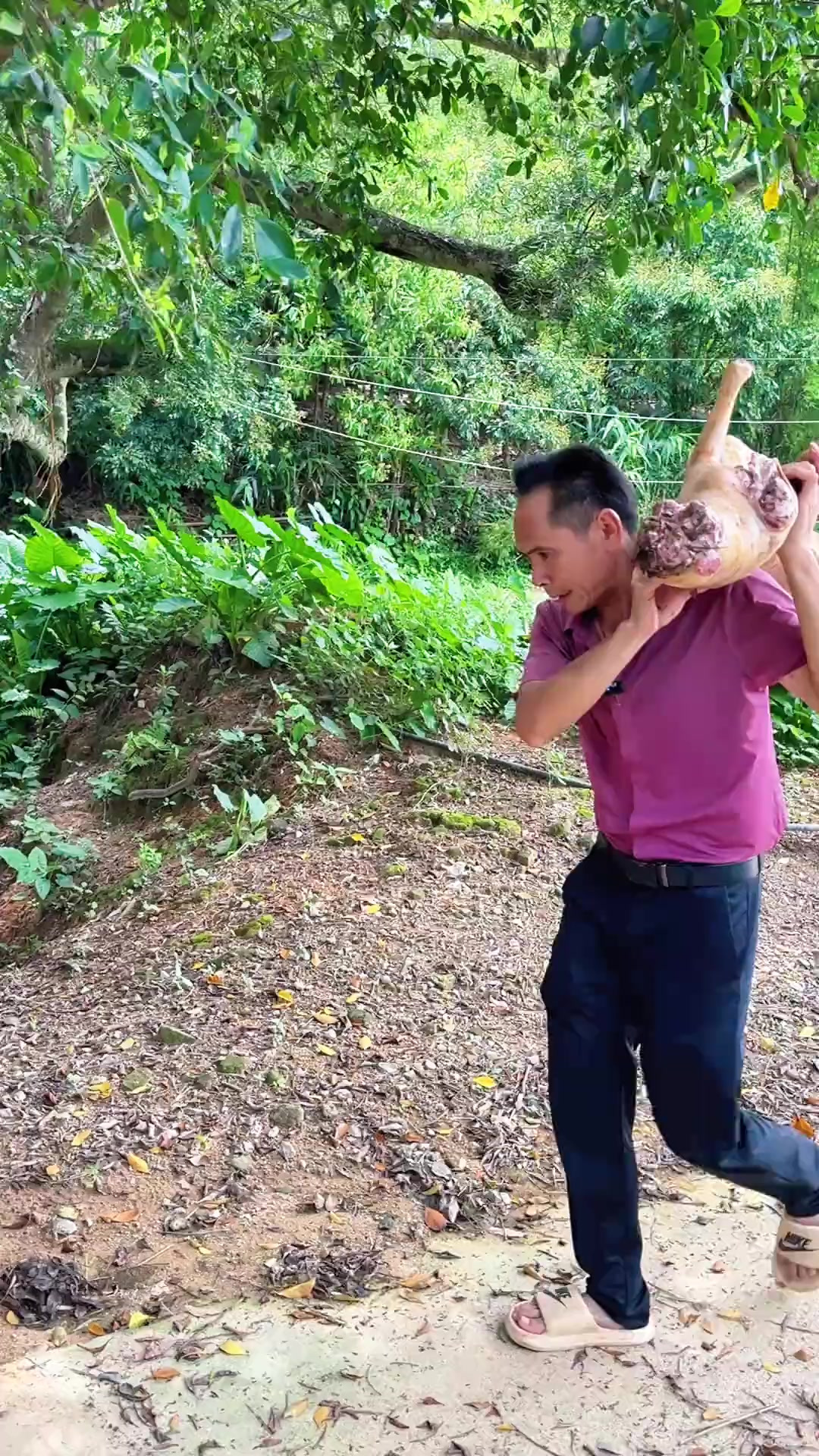 白切狗肉，皮脆肉香，蘸汁酸辣，热烈的美食搭档