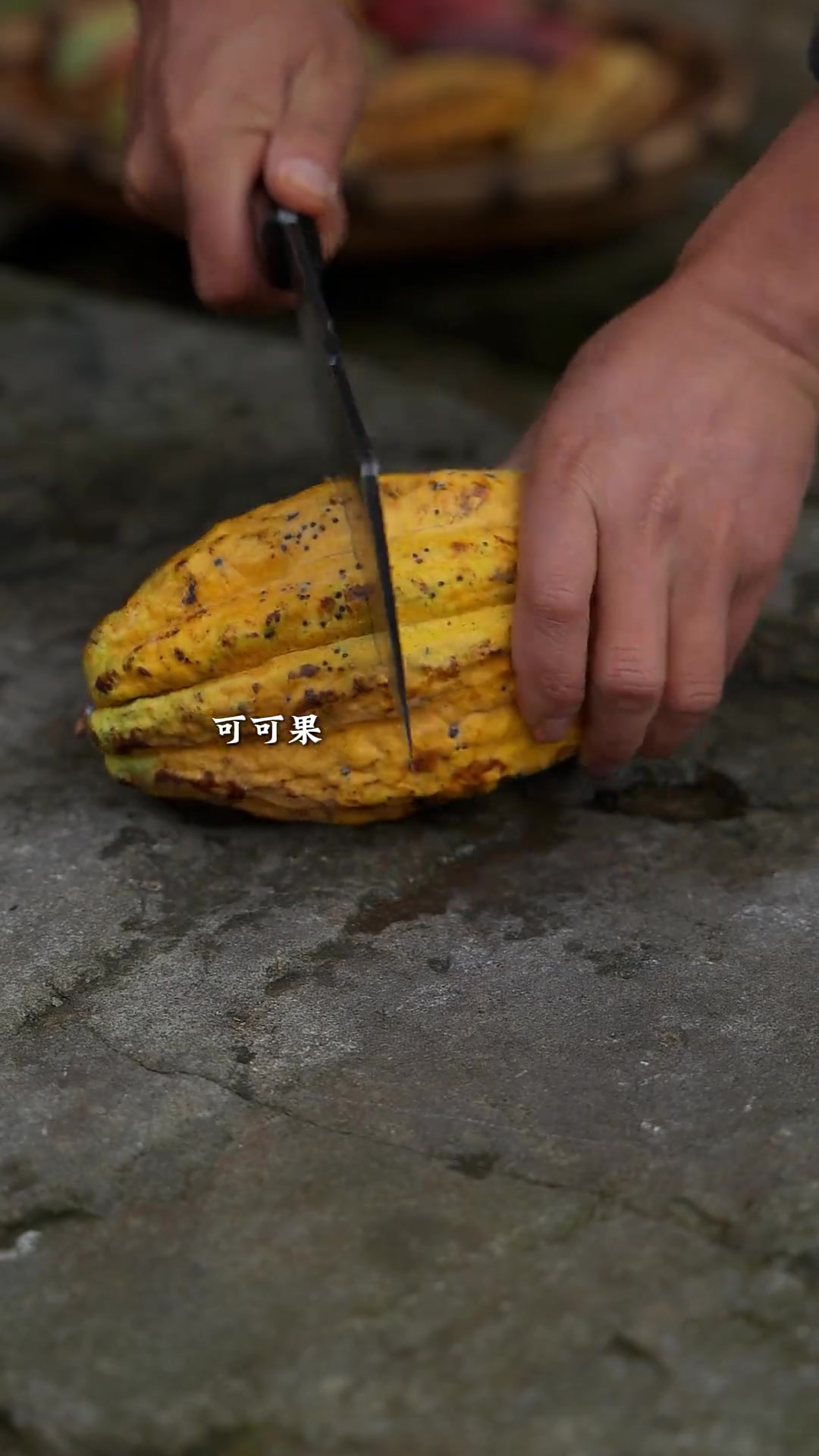 从可可果到巧克力，每一步都是自然到匠心的完美交融