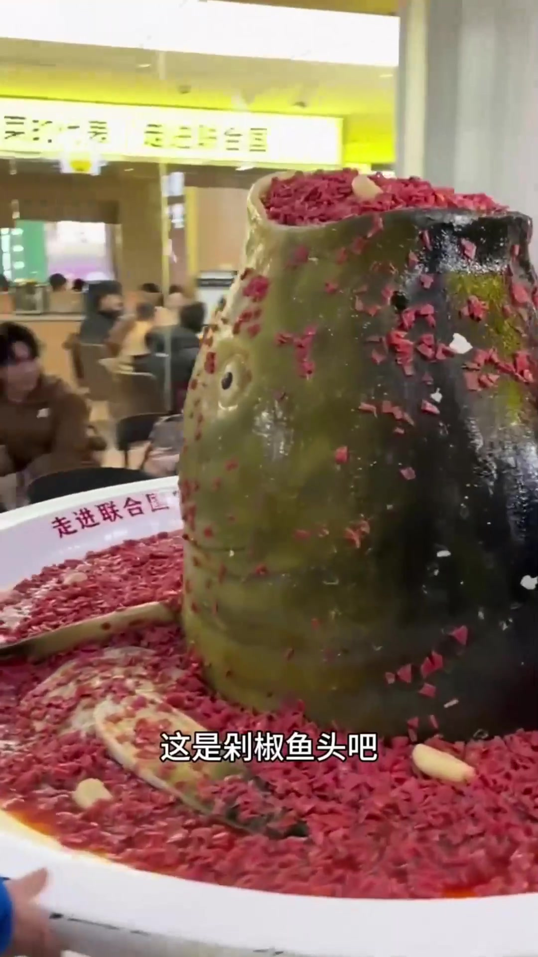 这么大的鱼头还是第一次见