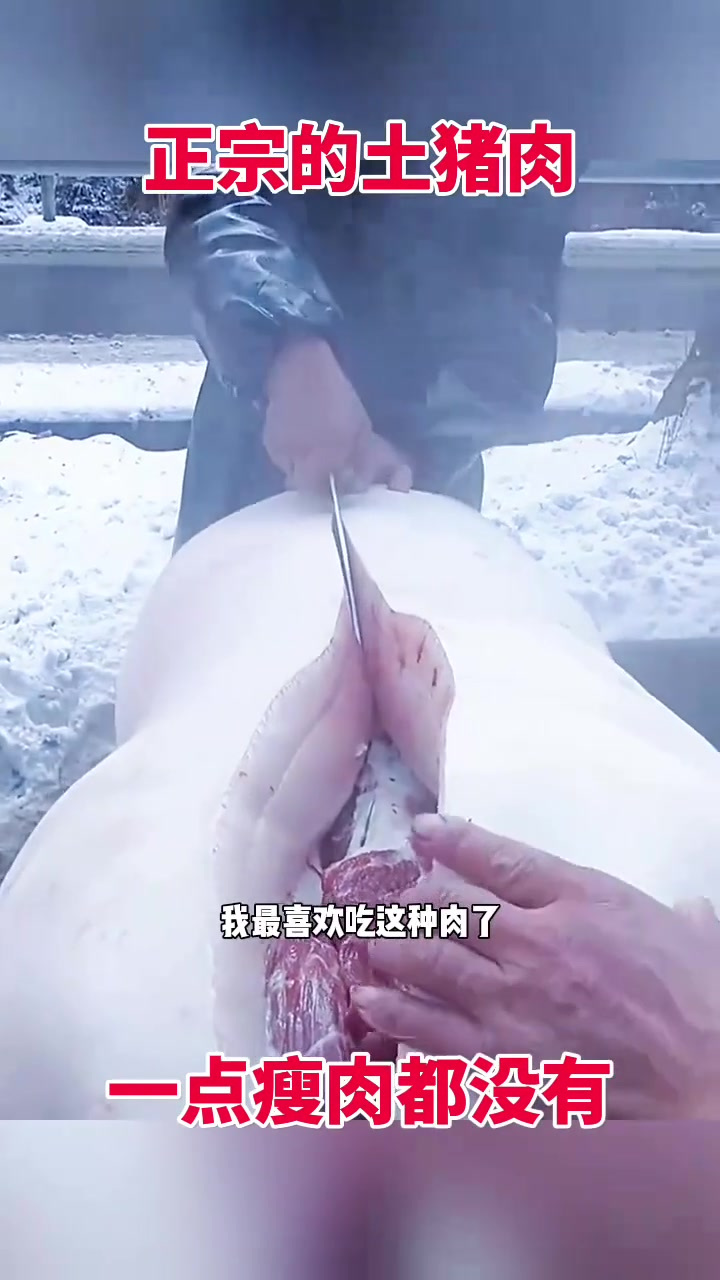 正宗的土猪肉,一点瘦肉都没有!