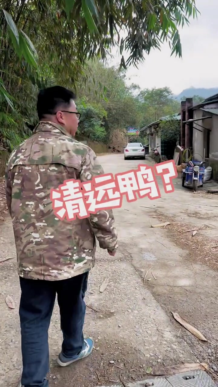 清远清新区姨坑村,弯弯曲曲的山坳里有20几家农庄,几乎全部都