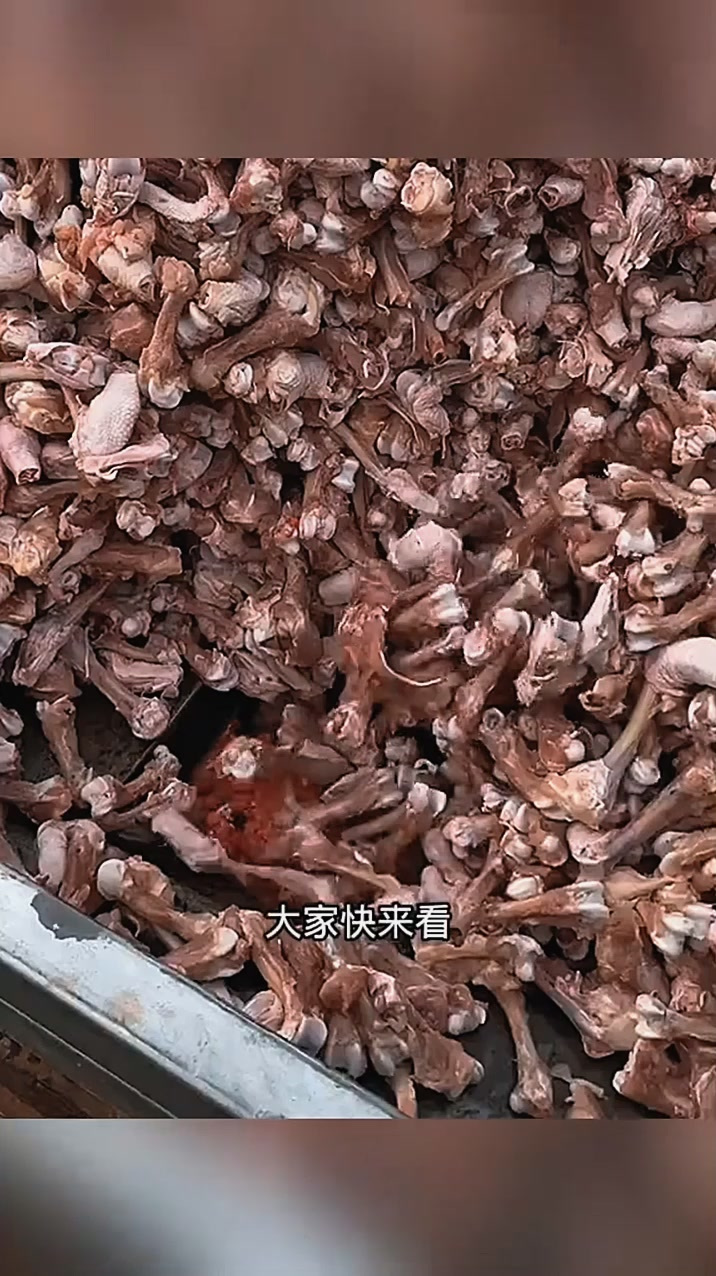鸡骨头打碎,原来是喂鱼了!