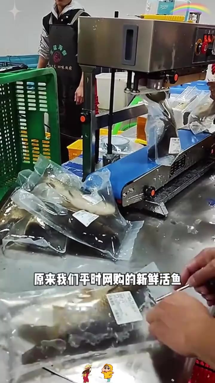 揭秘网购新鲜活鱼的打包过程:气体如何保持不漏?