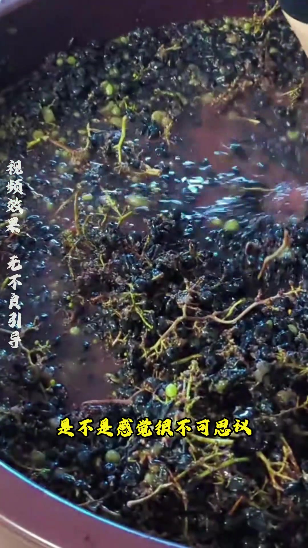 顶级葡萄酒竟用美女脚踩制,传统工艺的魅力与科学揭秘