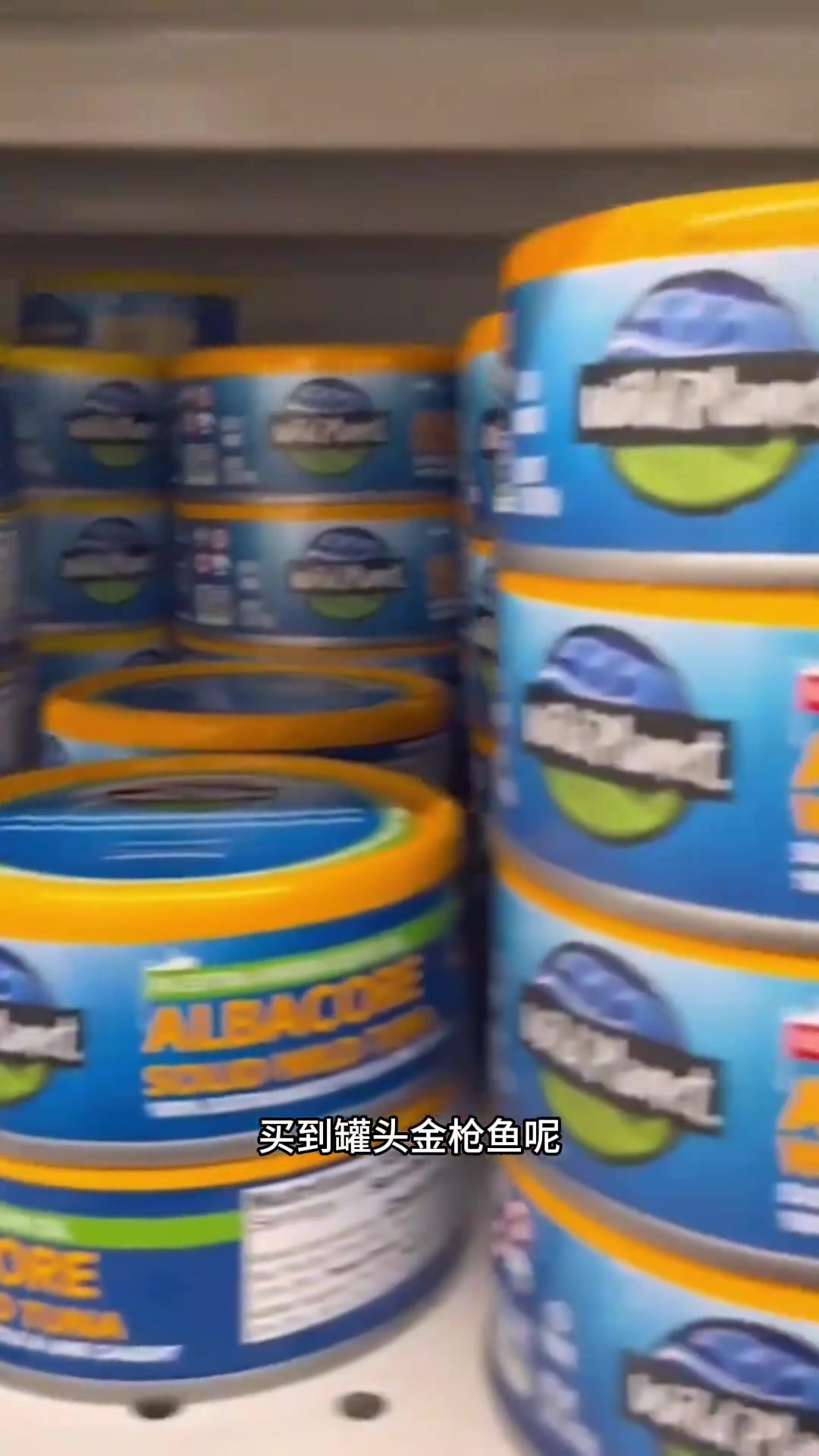 金枪鱼种类与价格的差异