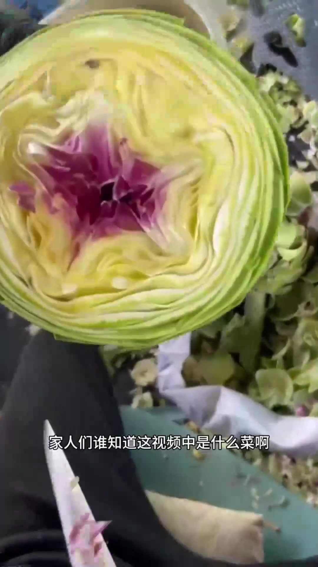 真好奇第一个吃这菜的人是什么想法啊