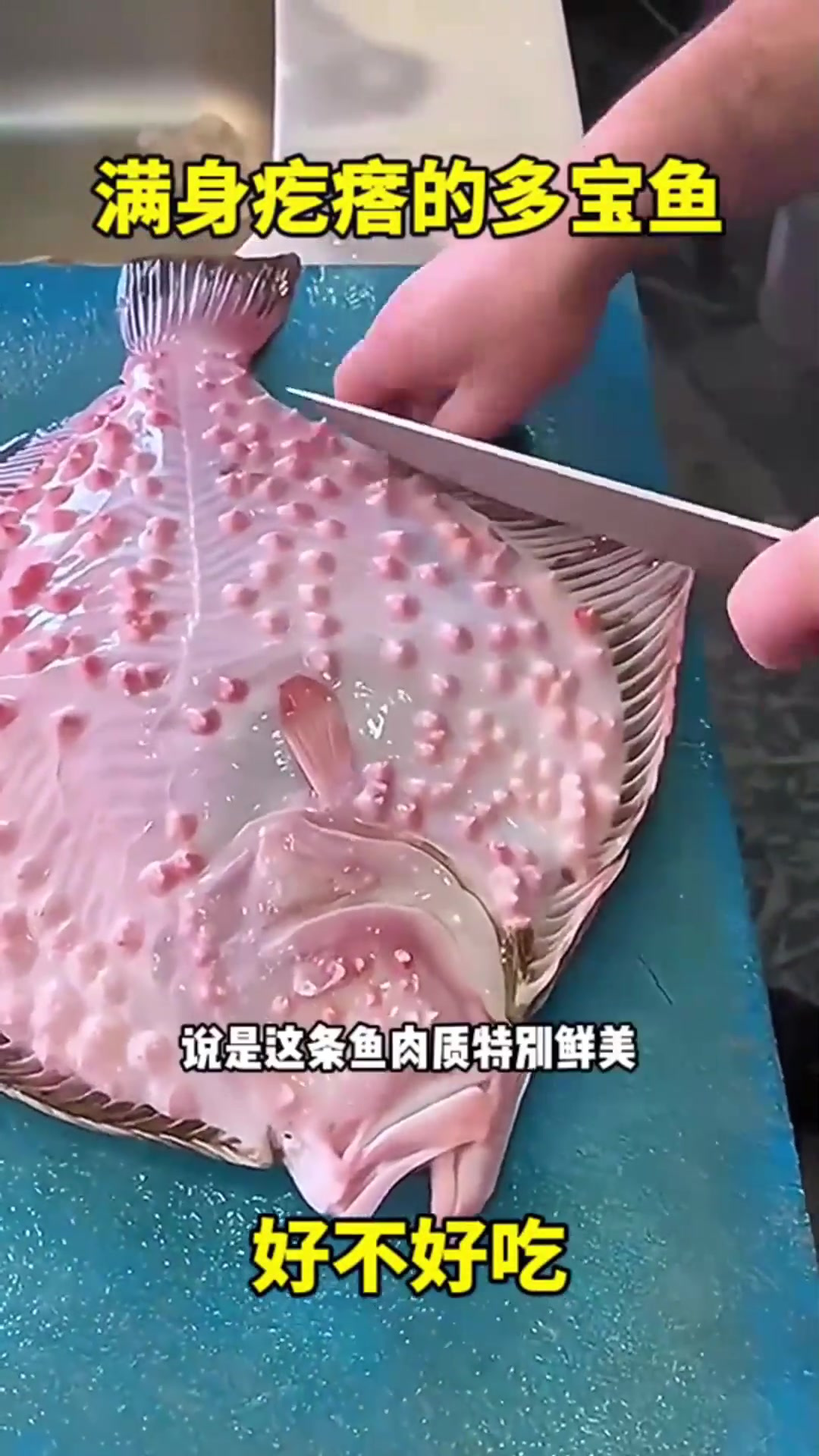 满身疙瘩的多宝鱼,好不好吃