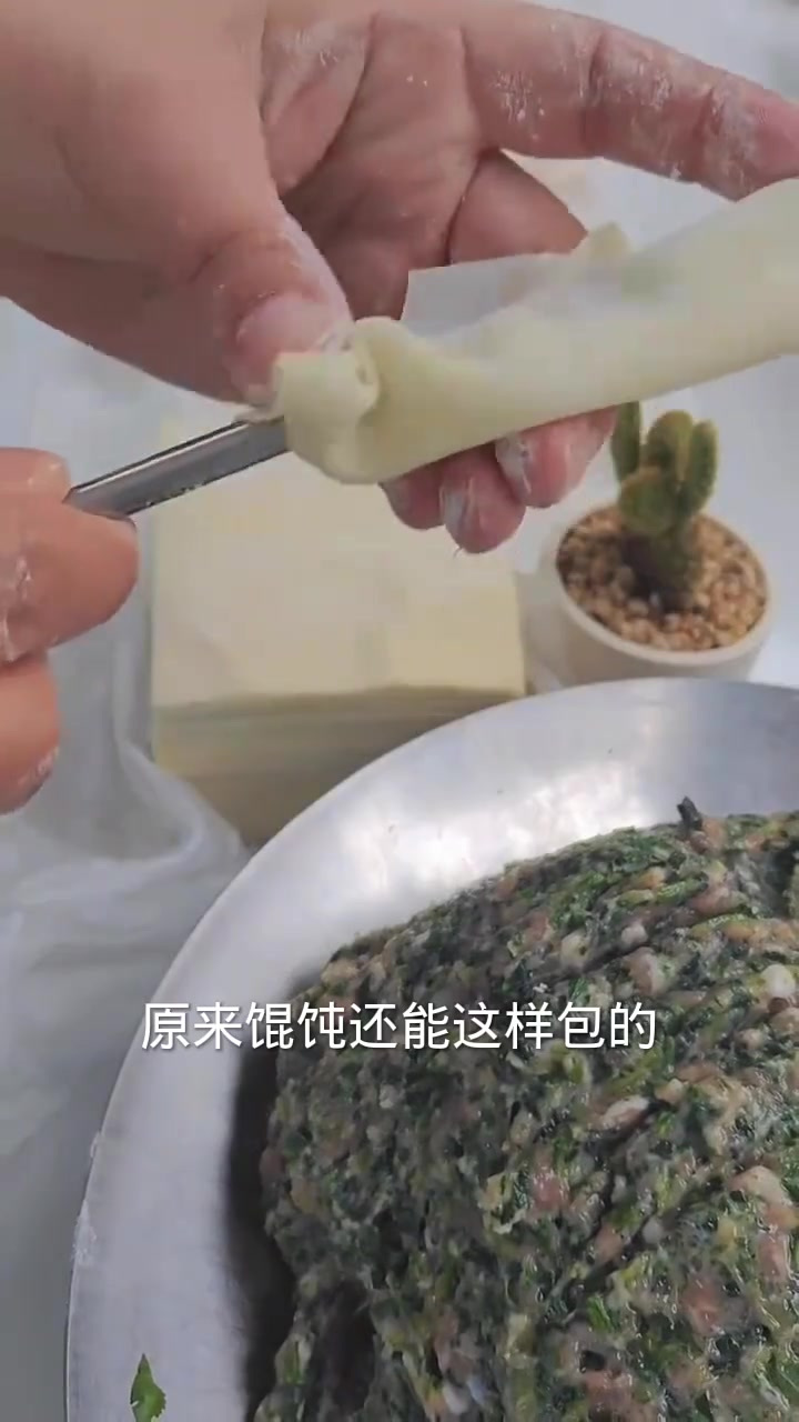 首次见识独特馄饨包法,惊叹肉馅之美味与真实!