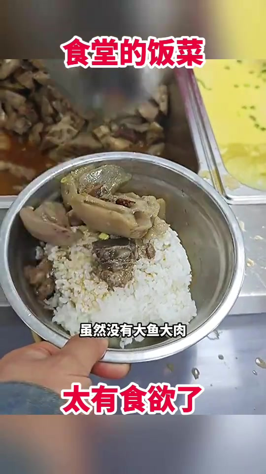 食堂的饭菜,太有食欲了!