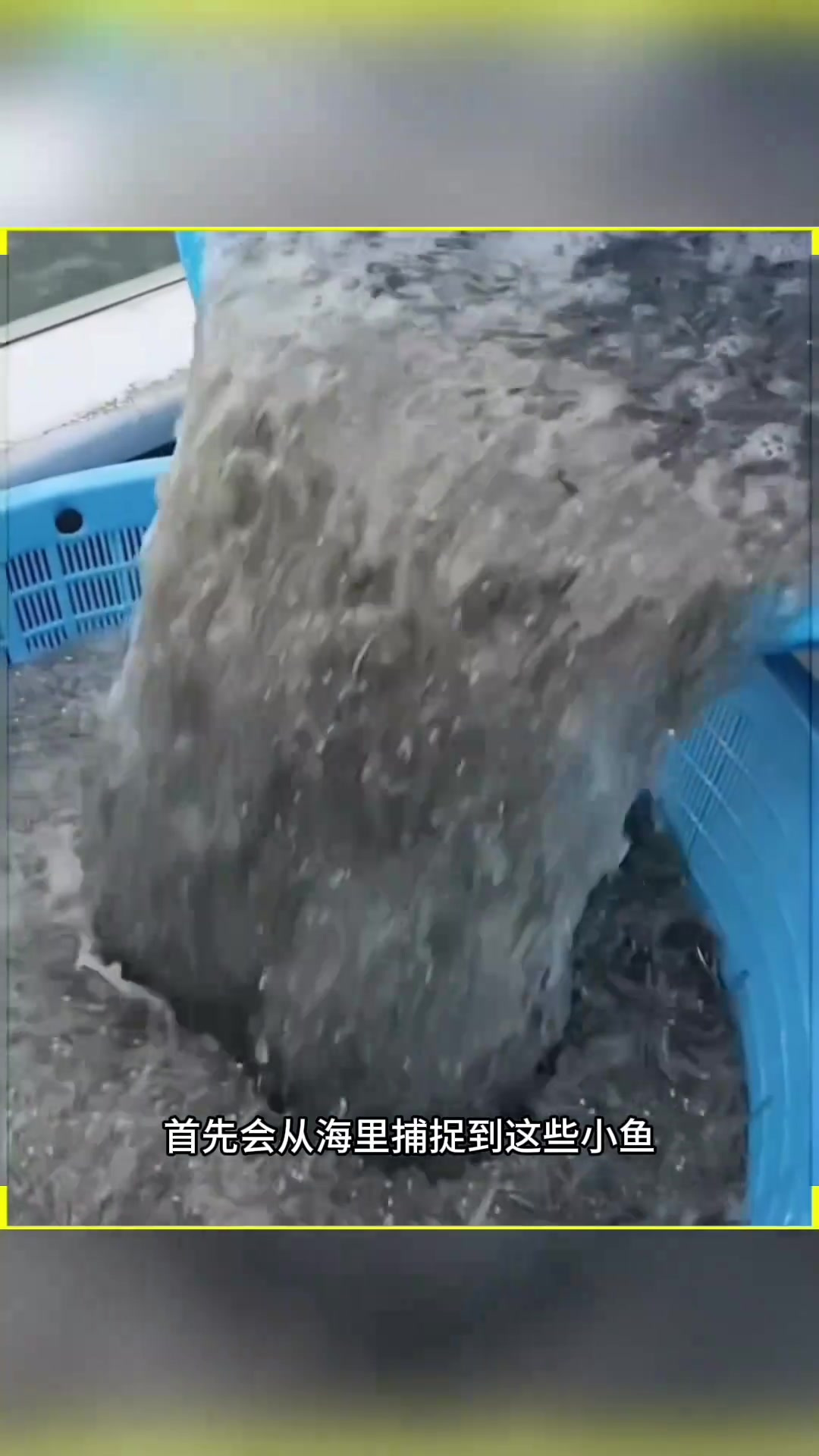 日本的传统美食白子鱼