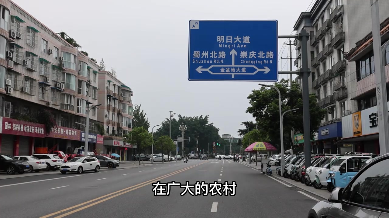四川崇州吃藿香鳝段,成都平原鳝鱼的美食加工方式,今天就吃它!