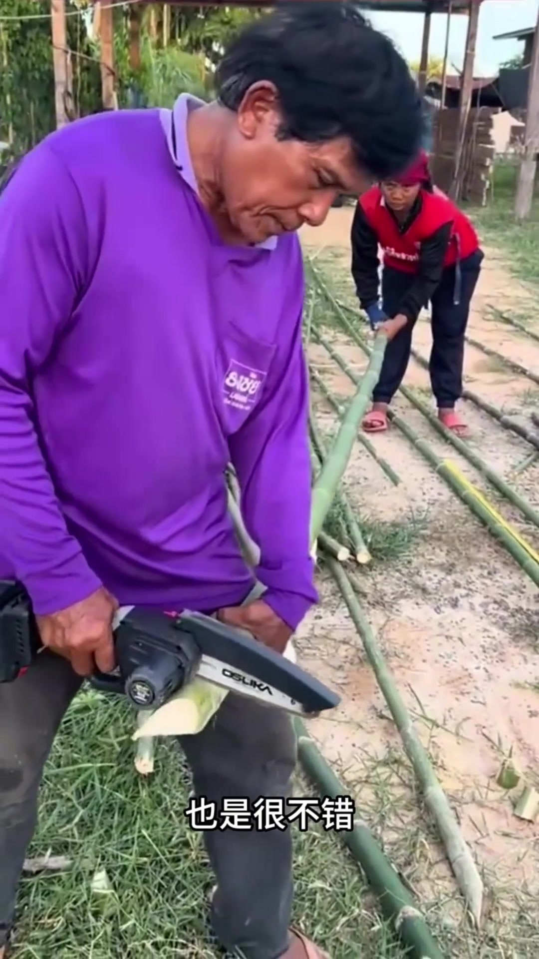 神奇的实心竹子:打破传统认知的全新钓鱼竿与晾衣架!
