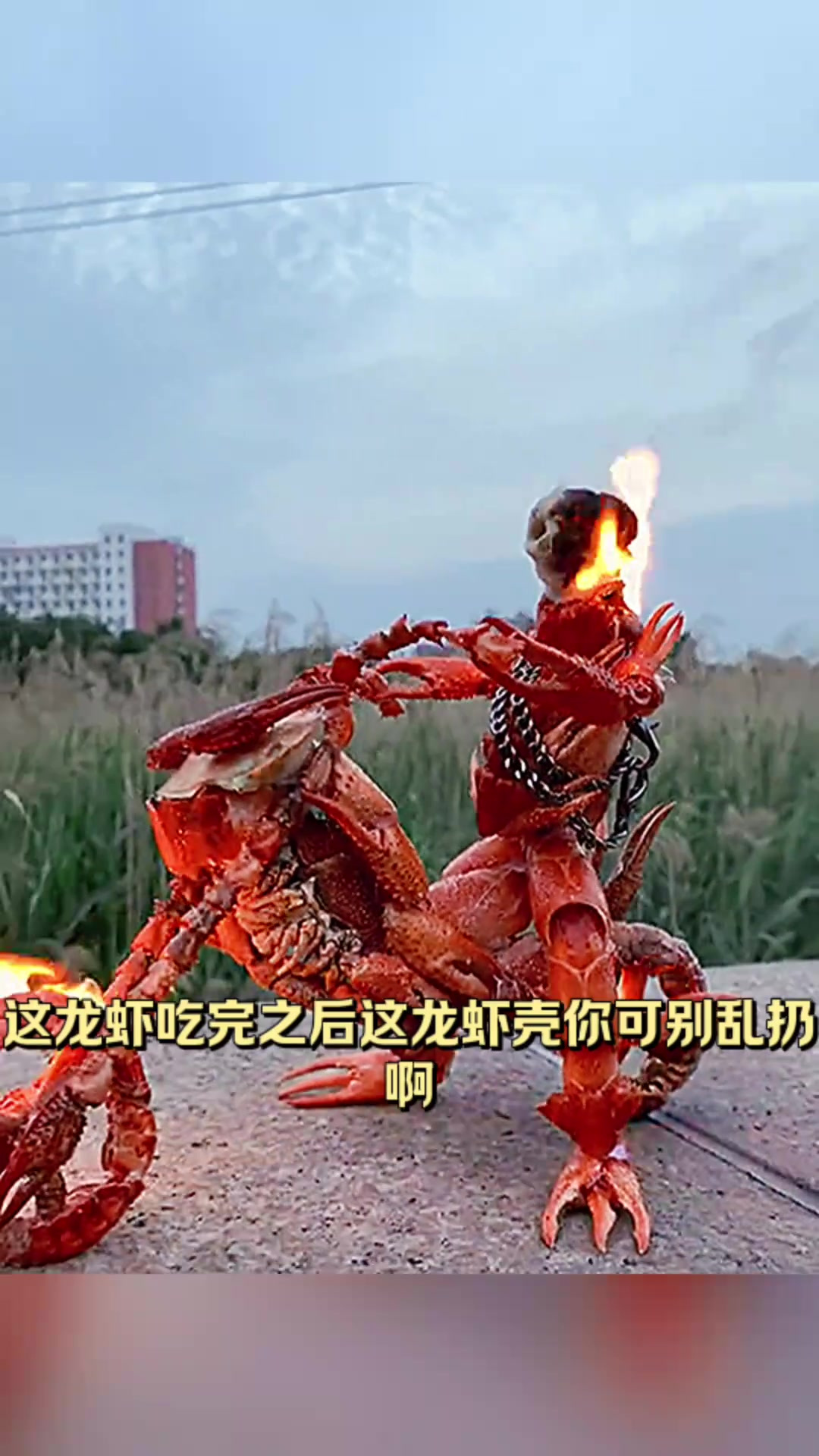 吃龙虾不仅美味,壳也能变身艺术品,快来看看吧!