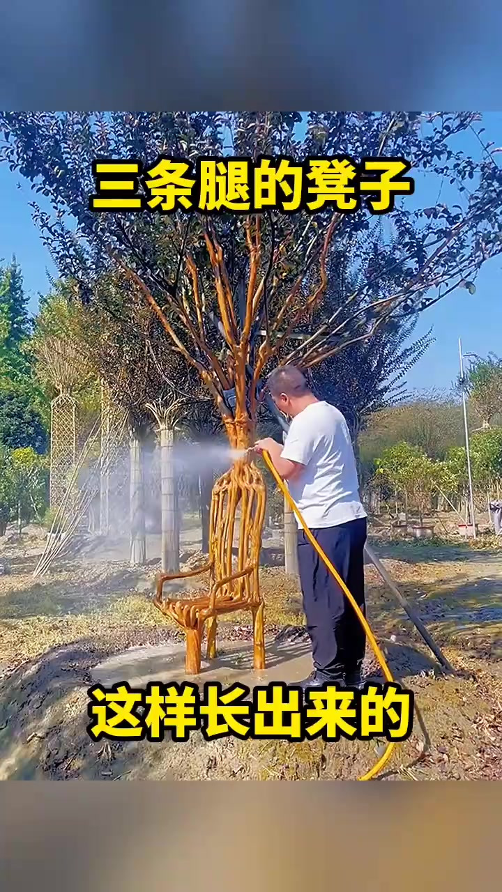 三条腿的凳子,这样长出来的!