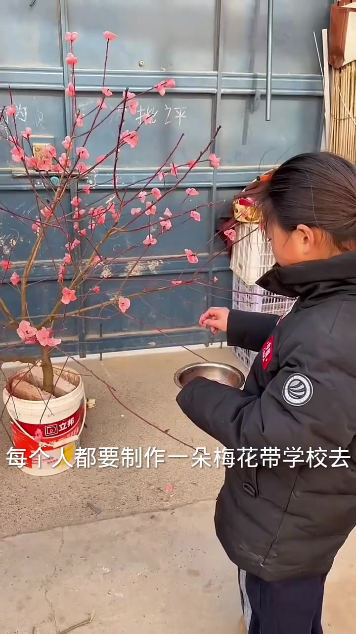 女孩子捏梅花做手工