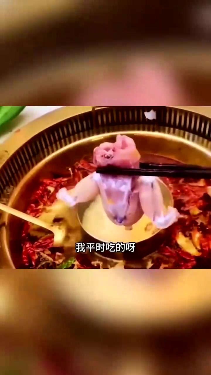 会动的牛蛙,这也太牛了