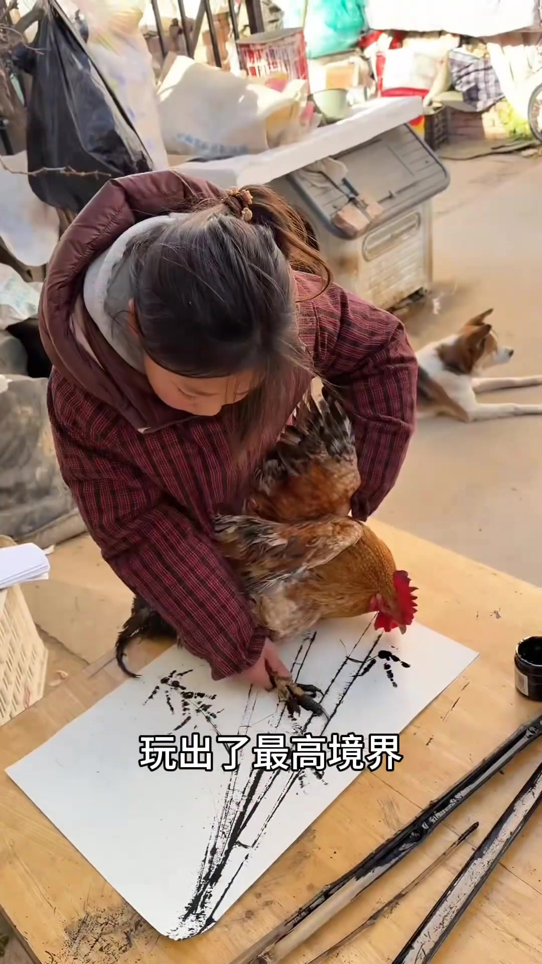 这把语文课本内容照进现实了,小鸡画竹叶