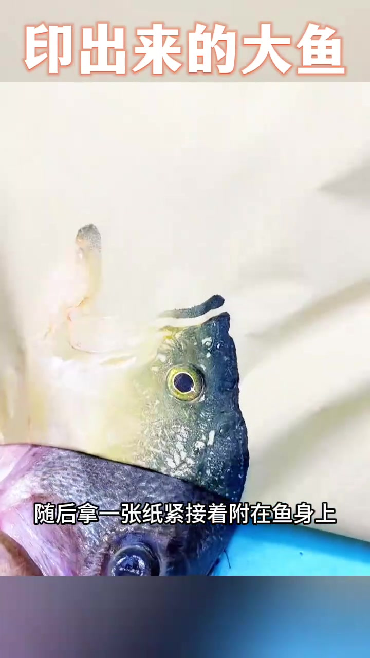 民间绘画大师巧用鱼印技法,令我惊叹不已!