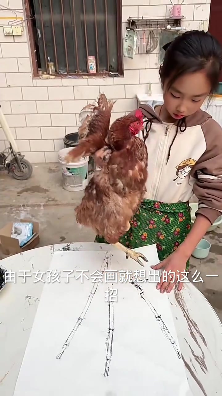女孩巧妙利用树枝与鸡爪子完成校园作业,创意无限!