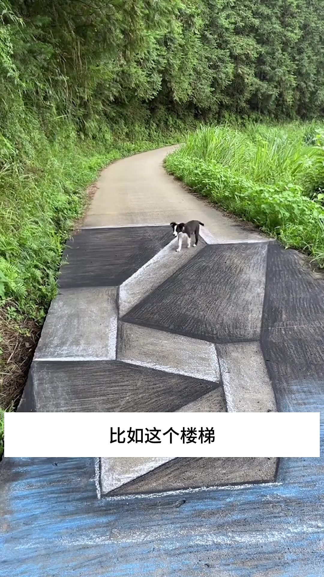 “超现实主义画家:黑白画作骗过小狗与绵羊,真实感惊人!”