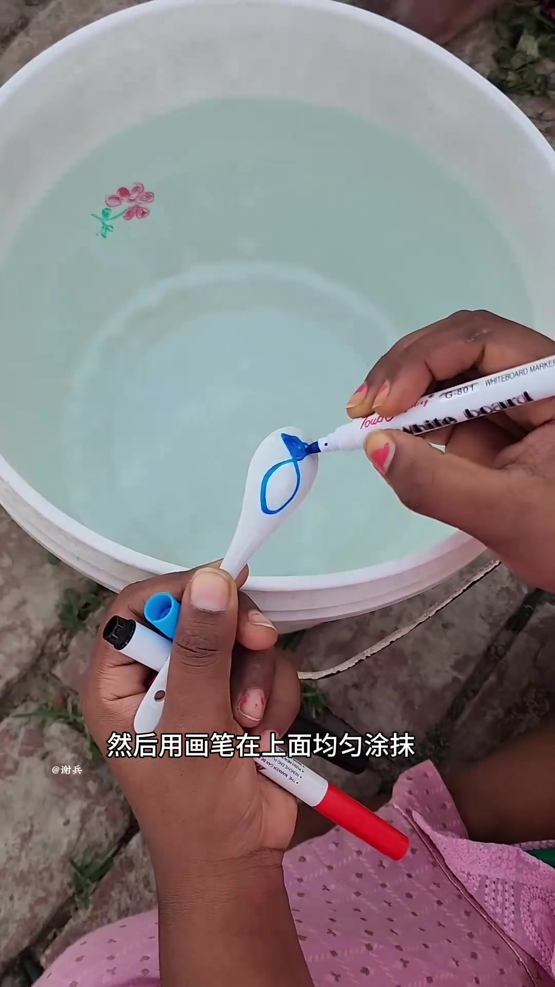 勺绘鲨鱼 水面游生