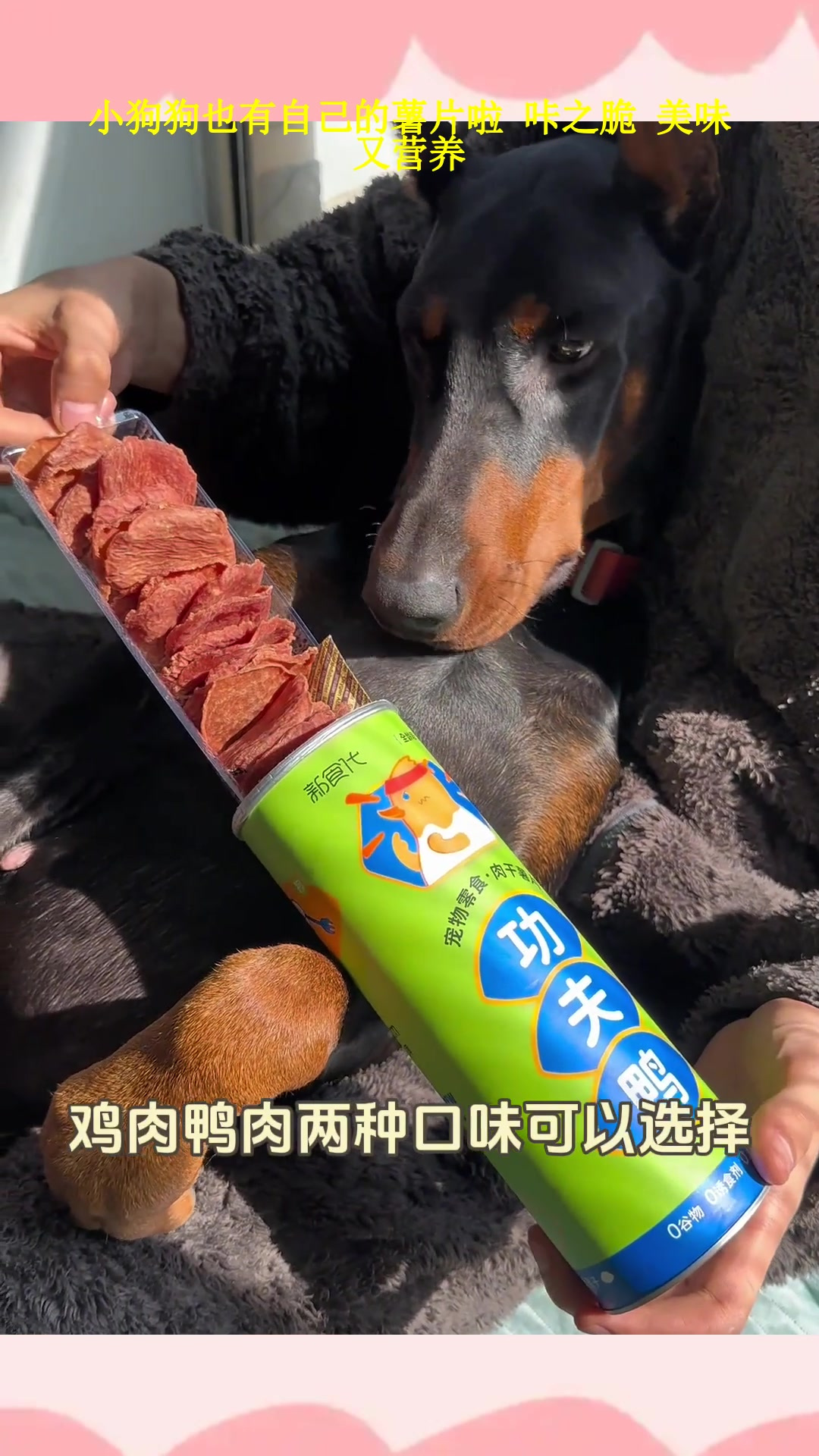 小狗狗也有自己的薯片啦 咔之脆 美味又营养