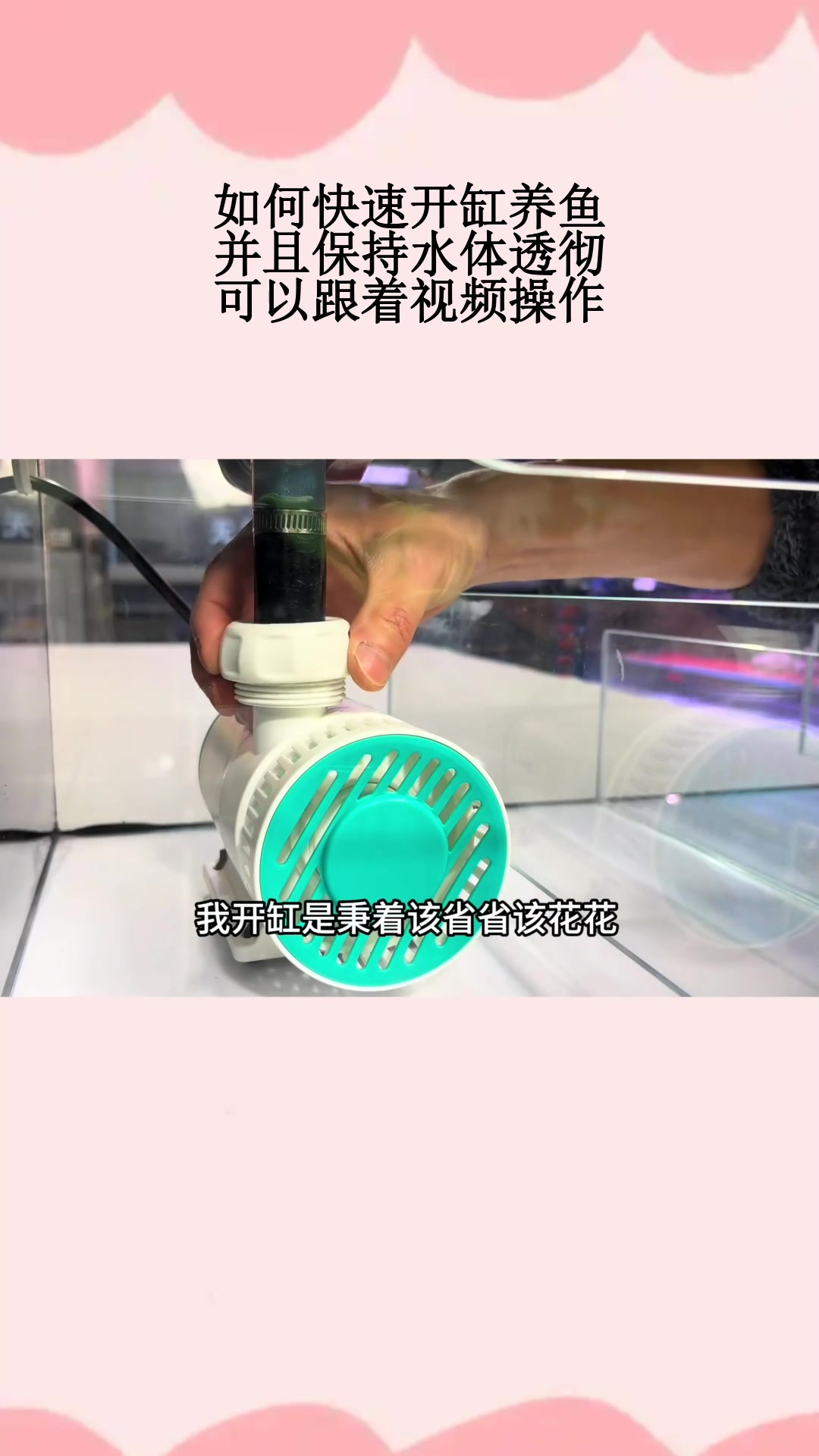 如何快速开缸养鱼,并且保持水体透彻,可以跟着视频操作