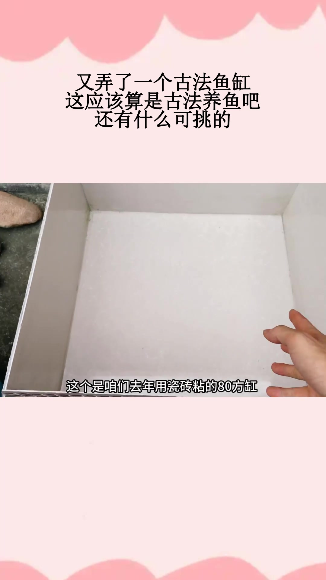 又弄了一个古法鱼缸,这应该算是古法养鱼吧,还有什么可挑的