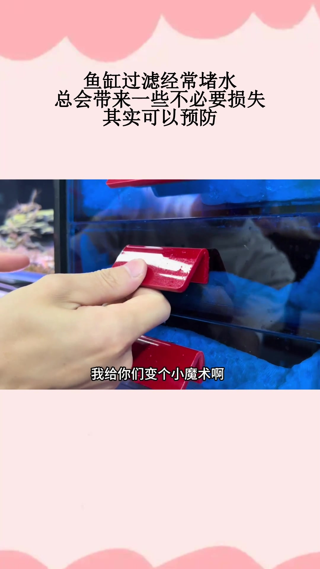 鱼缸过滤经常堵水,总会带来一些不必要损失,其实可以预防